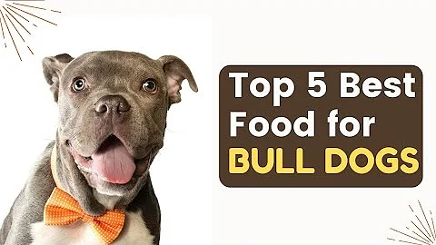 ✅The Top 5 Dog Foods to Keep Your American Bull Dog Healthy and Happy!