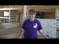 Rodney Street rabbits find a new home and can be adopted