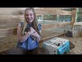 Rodney Street rabbits find a new home and can be adopted