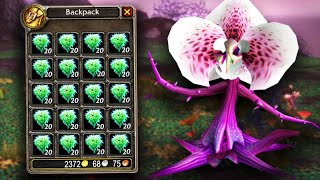 I Farmed Eternal Life & Made INSANE GOLD - Classic WOTLK 600+ Gold/Hour Farm