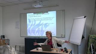 Maria Tamm - Lexical typology and morphology: basic vs. complex lexical expressions