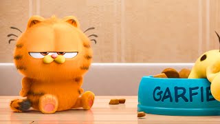 The Garfield Movie - “Why is Cat?' Funny Clip (2024) by Animation Society 2,890 views 3 weeks ago 3 minutes, 31 seconds