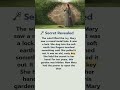 English Story | Hidden in the Ground for 10 Years 🗝️ #EnglishStory #Shorts