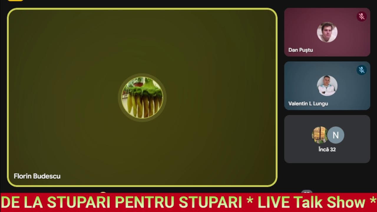 DE LA STUPARI PENTRU STUPARI * LIVE Talk Show * A venit iarna
