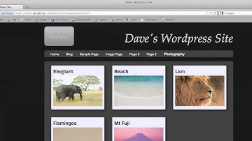 Using Wordpress Post Thumbnails in Your Custom Theme
