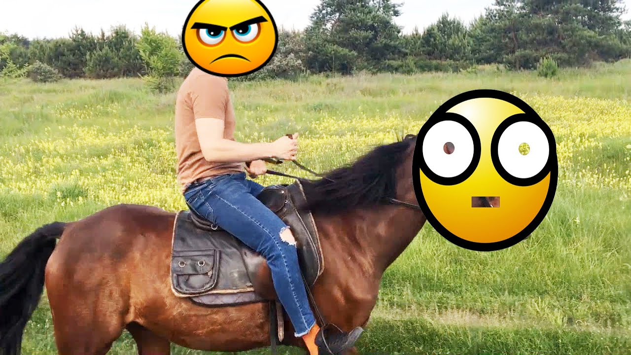 ВЛОГ: РУСЛАН ПОДРАЛСЯ С ЛОШАДЬЮ - YouTube