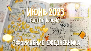 ежедневник на июнь 2023 · bullet journal · оформление ежедневника · plan with me✎