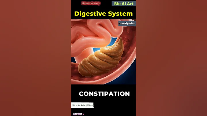 Constipation Animation | | Digestive System | Human Anatomy | Bio AI Art | 08