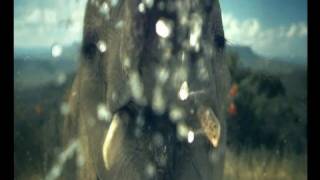 Animal Planet Ident Water Elephant