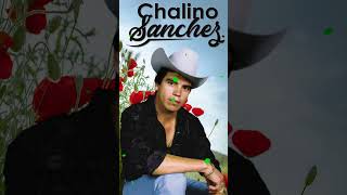 Chalino Sanchez - Canciones Miguel Martinez #shorts