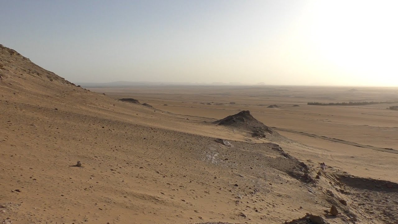Greening the Desert – Sekem´s Wahat Project