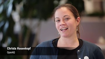 Fighting for Blue Skies - Insights from Air Pollution Activists (Christa Hasenkopf)