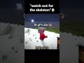 "Watch out for the skeleton" BRUH #minecraft #dream #dreamsmp #memes #minecraftmemes