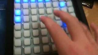 First Monome Run: 23_asdf