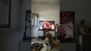 Star Vs Las Fuerzas Del Mal Intro Español Latino Disney Channel 2025