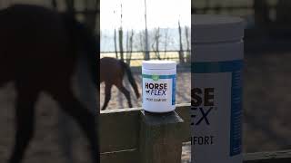 Meer Bewegingscomfort Bij Jou Sportpaard