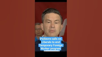 Pierre Poilievre calls on Liberals to end Temporary Foreign Worker program, Canada News