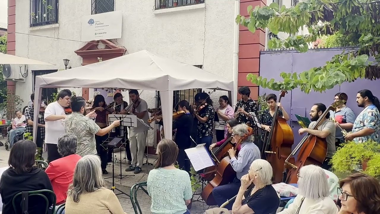 Toby Fox: Undertale Medley (Orquesta Tamen, Hogar Senior Paulina)