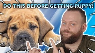 Everything You MUST DO Before Getting Your New Puppy!