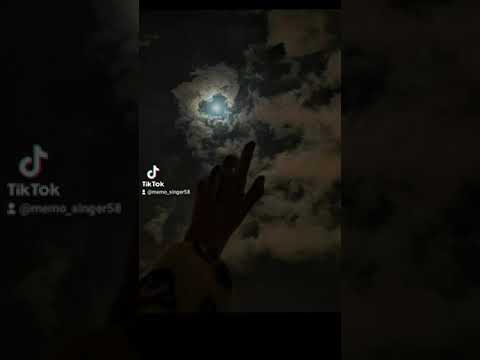 مغرم يا ليل الكروانة