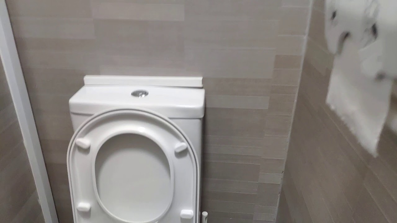Toilet in a Public House in Eastbourne YouTube