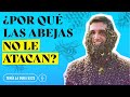 Por qu las abejas no atacan a los apicultores el secreto aqu