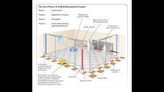 Revised - Valor 4 Phase Diagram of Proper Mold Remediation