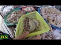 大虾 泰国海鲜  海鲜市场 Thailand Seafood Market