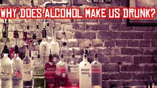 Why does alcohol make us Drunk