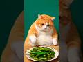 Cat ne kha li mirchi🤣#funny #cat #humor #comedy #shorts