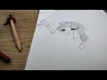 Anime boyama