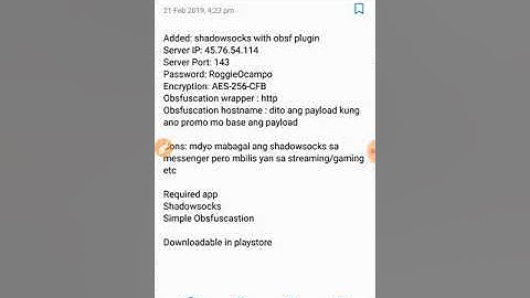Manual input shadowsocks server info