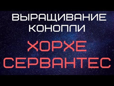 Библия гровера аудиокнига