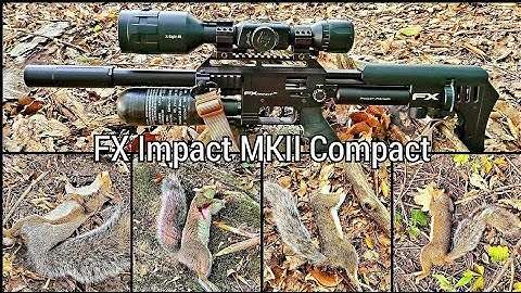Squirrel Hunt FX Impact MKII Compact || Four Squirrels Down