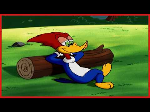 Woody's Camp! 🏕️ | Woody Woodpecker