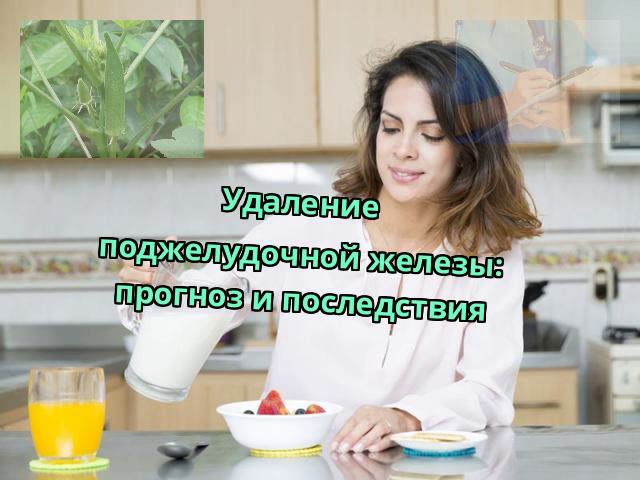 Удаление поджелудочной железы: прогноз и последствия