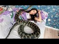 Elle aimait dormir avec son python, mais la raison pour laquelle il perdait du poids l’a horrifiée