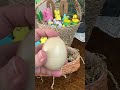 Best Easter Basket Stuffer! Roaring Dinosaur Egg Pops Toy | Kamhi World