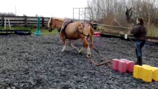 liza voort eerst in het tuig 20111227.wmv