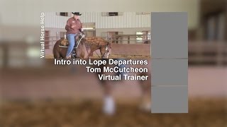 Horse Training - Introduction into Lope Departures