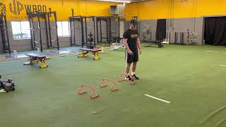 Continuous Lateral Hurdle Jumps