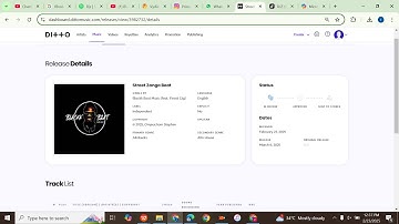 Step By Step Guide on How to Upload a song on Ditto music, avoiding Extra charges