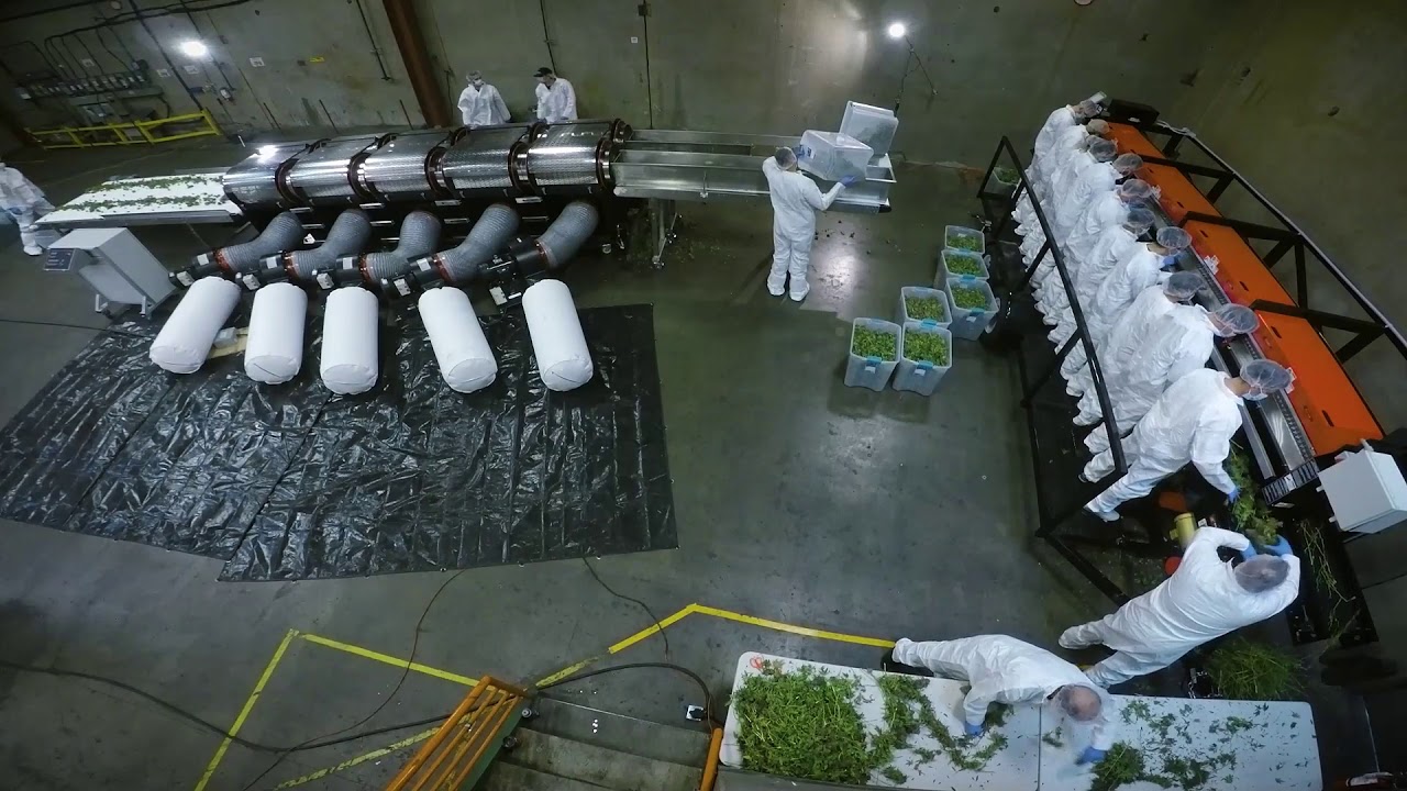 Running the CenturionPro XL Trimmer and XL MegaBucker Together for the First Time - GoPro Footage