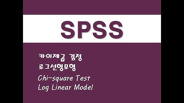 SPSS를 활용한 베이지안 통계 - (11) 카이제곱 검정/로그선형모형 (Chi-square Test)/(Log Linear Model)
