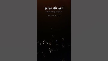 فناداها من تحتها ألا تحزني #سورة_مريم #quran #المصحف #قرآن #اكسبلور #احمد_النفيس #ahmadalnufais