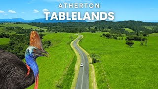 Cairns To The Tablelands In 2025 The Ultimate Adventure