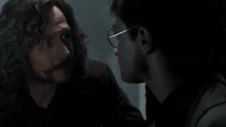 Harry Potter dilf appriciation vid once again