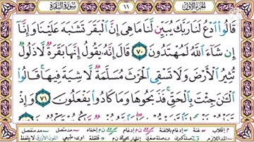#سورة البقرة#الصفحة 11#أيمن السويد #Aymen swed
