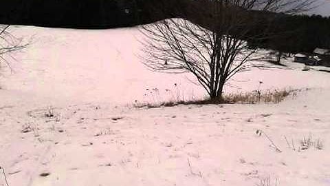 96 xlt special. dg can