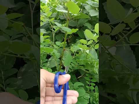 Best techniques for